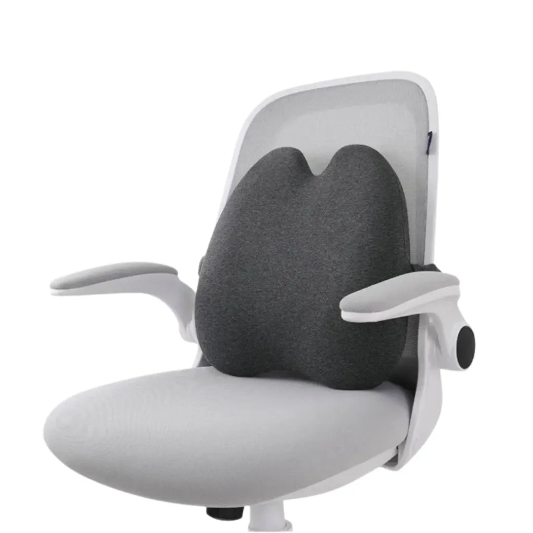 Ergonomic Lumbar Support Pillow Brevora